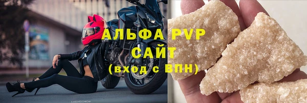 СК Покачи