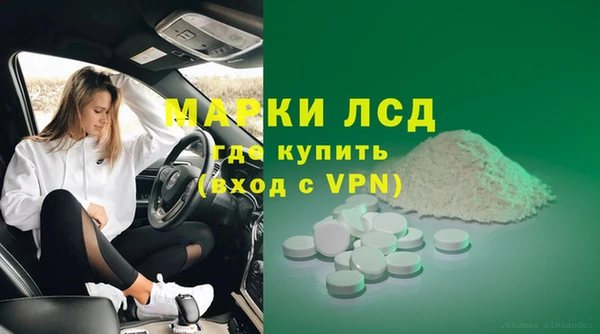 СК Покачи