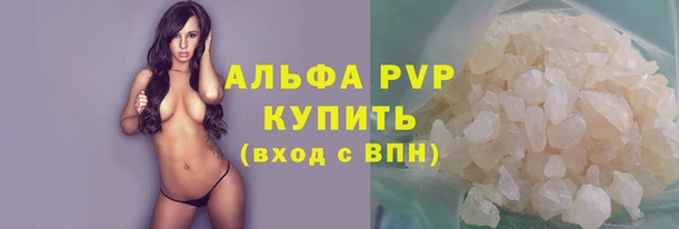 СК Покачи