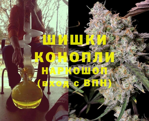 СК Покачи